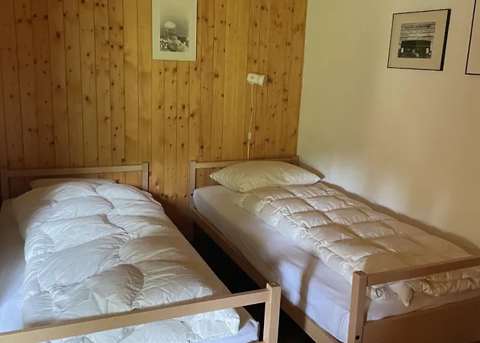 Marmottes D40 * アロラ